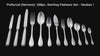 Puiforcat (Hermes) - 168pc. Antique French Sterling Silver Flatware Set (Vauban) Model + Storage Trays.